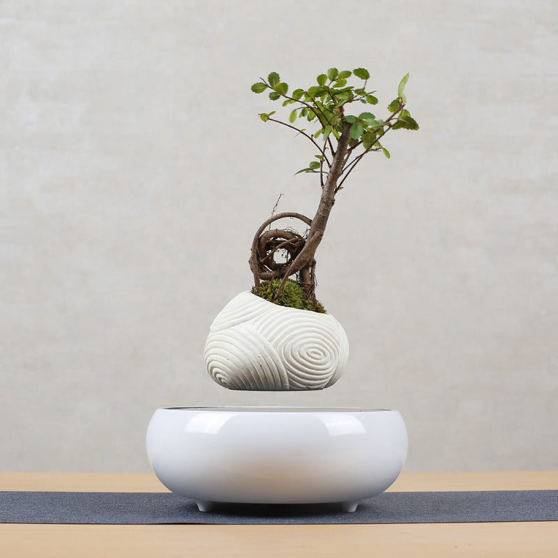 Magnetic Levitating Potted Plant