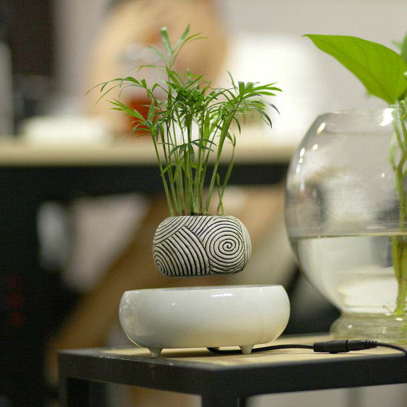 Magnetic Levitating Potted Plant