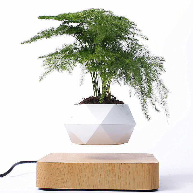 Magnetic Floating Bonsai Tree